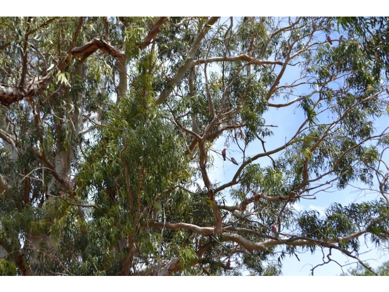 115 Happy Valley Road, Port Lincoln SA 5606