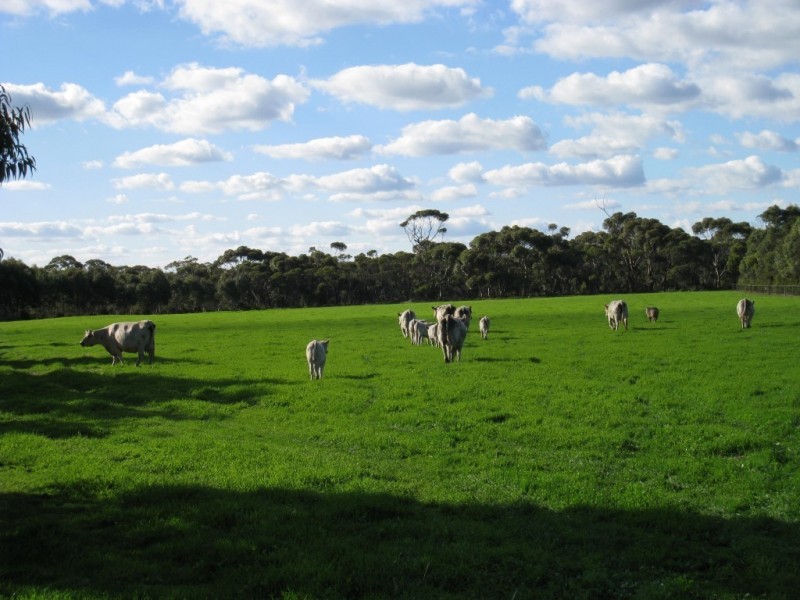 79 McFarlane Road, Port Lincoln SA 5606