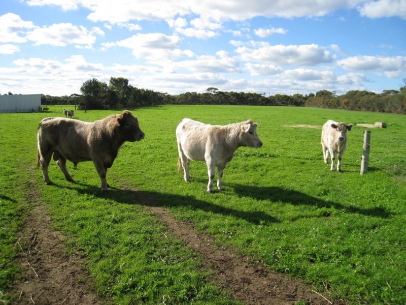 79 McFarlane Road, Port Lincoln SA 5606