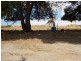 912 White Flat Road, Whites Flat SA 5607
