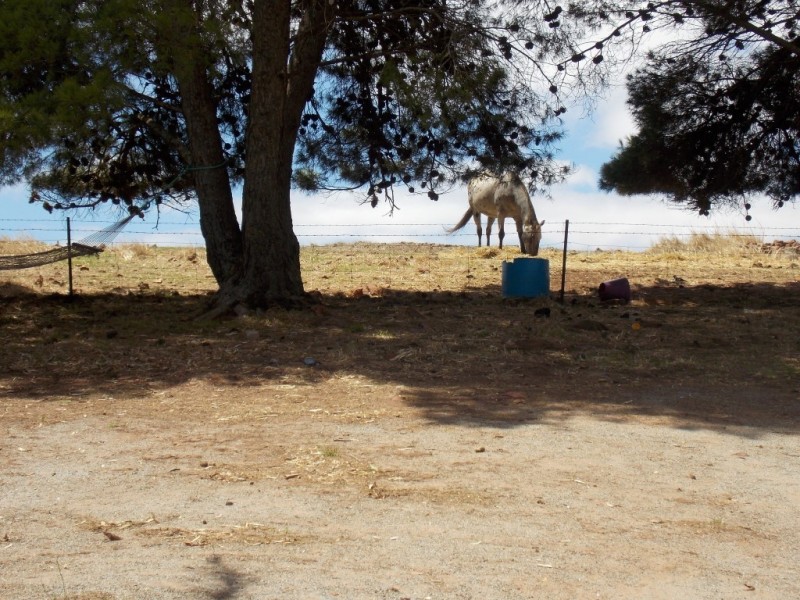 912 White Flat Road, Whites Flat SA 5607