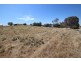 Lot 875 Woolshed Drive, Mount Dutton Bay SA 5607