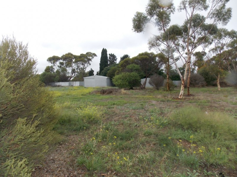 21 Ashman Terrace, Ungarra SA 5607