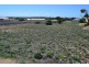 6 Habib Road, Port Neill SA 5604