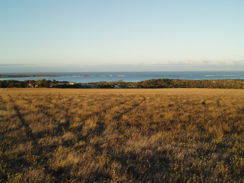Lots 103 and 104 Waterloo Bay Estate, Elliston SA 5670
