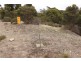 10 Bradley Court, Coffin Bay SA 5607