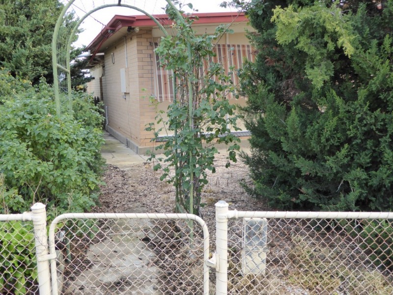 14 Walkom Street, Cummins SA 5631