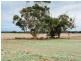 Lot 14 Nine Mile Road, Strathalbyn SA 5255