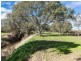 539 Meechi Road, Langhorne Creek SA 5255