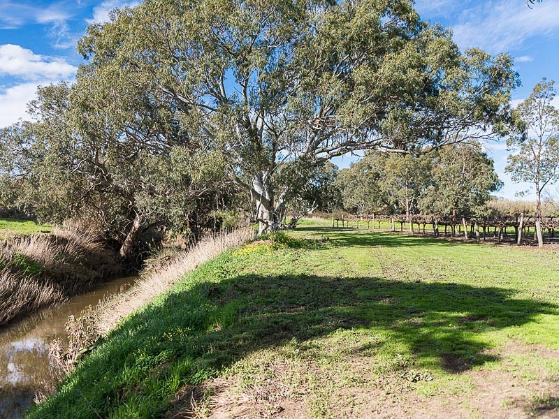 539 Meechi Road, Langhorne Creek SA 5255