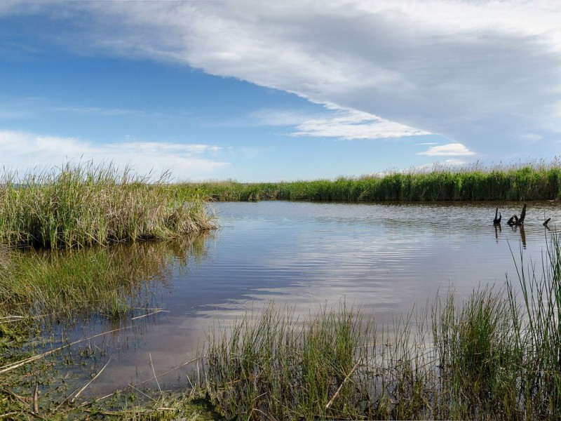 187 Sorrells Road, Finniss SA 5255