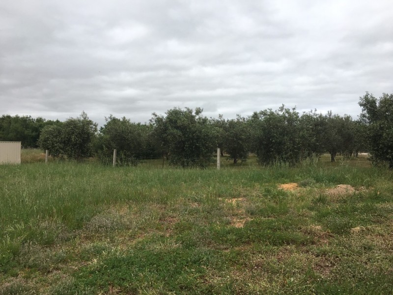 25 Brideson Road, Strathalbyn SA 5255