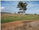 68 Bletchley Road, Strathalbyn SA 5255
