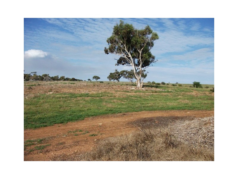 68 Bletchley Road, Strathalbyn SA 5255