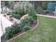 2 Silverwood Drive, Stirling SA 5152