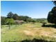 155 Macclesfield Road, Meadows SA 5201