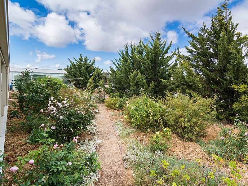 153 Nine Mile Road, Strathalbyn SA 5255