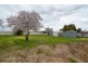 36a Murray Street, Strathalbyn SA 5255