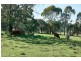 312 Bald Hills Road, Mount Barker SA 5251