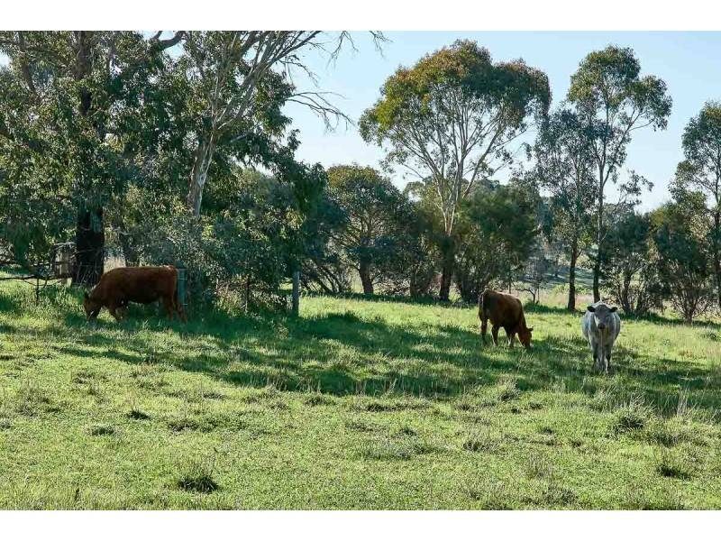 312 Bald Hills Road, Mount Barker SA 5251