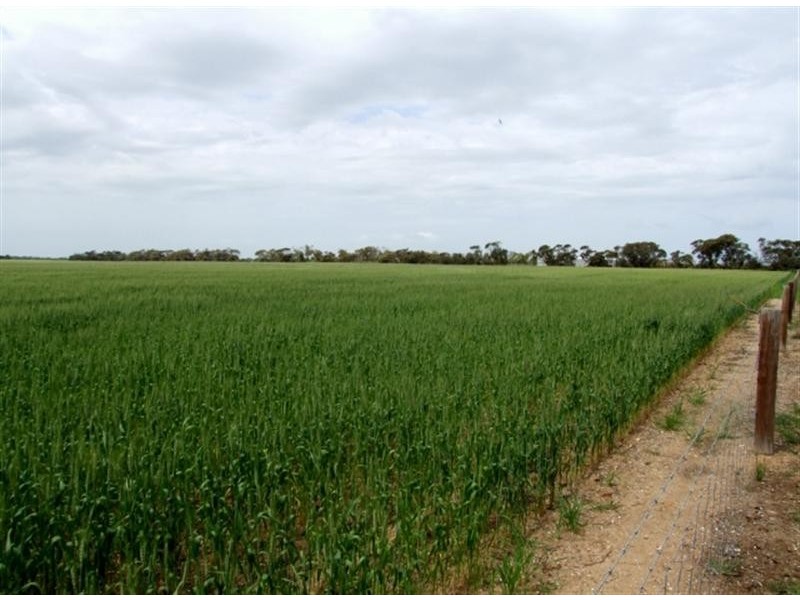 Lot 104 Nurragi Road, Strathalbyn SA 5255