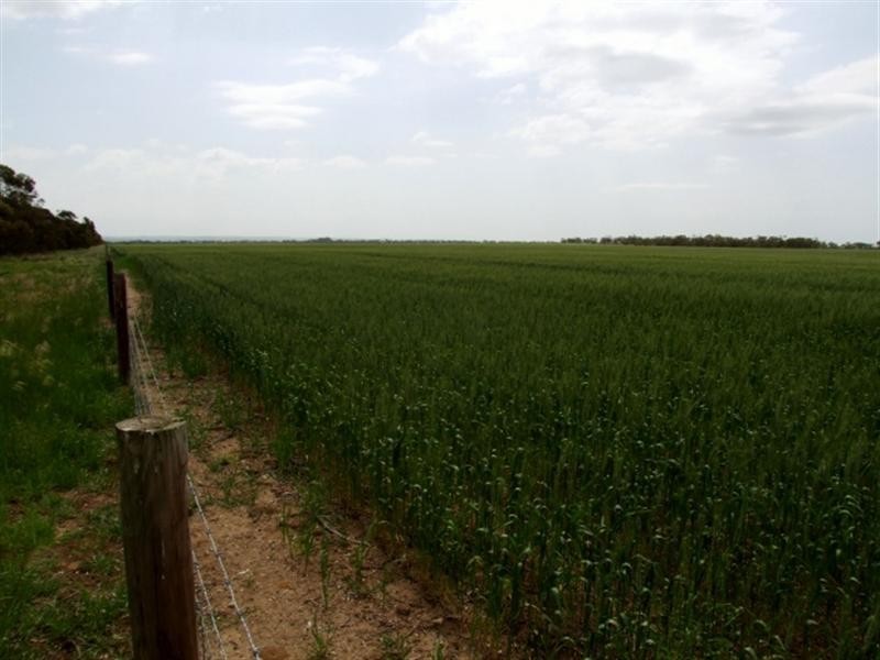 Lot 104 Nurragi Road, Strathalbyn SA 5255