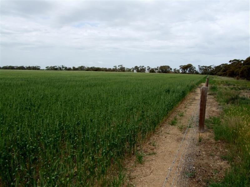 Lot 104 Nurragi Road, Strathalbyn SA 5255