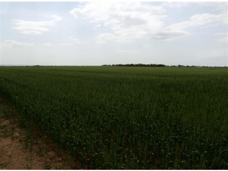 Lot 104 Nurragi Road, Strathalbyn SA 5255