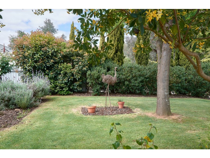 3 Fresian Drive, Strathalbyn SA 5255