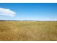590 Finniss-Clayton Road, Finniss SA 5255