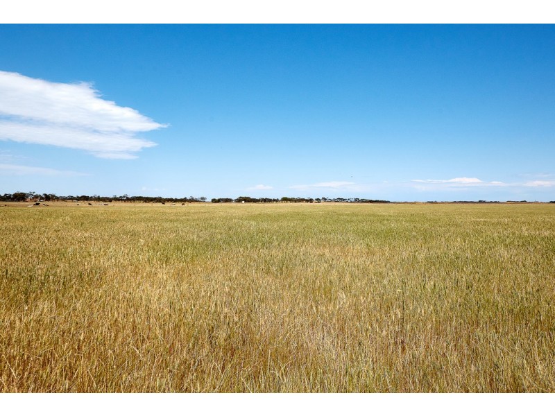 590 Finniss-Clayton Road, Finniss SA 5255