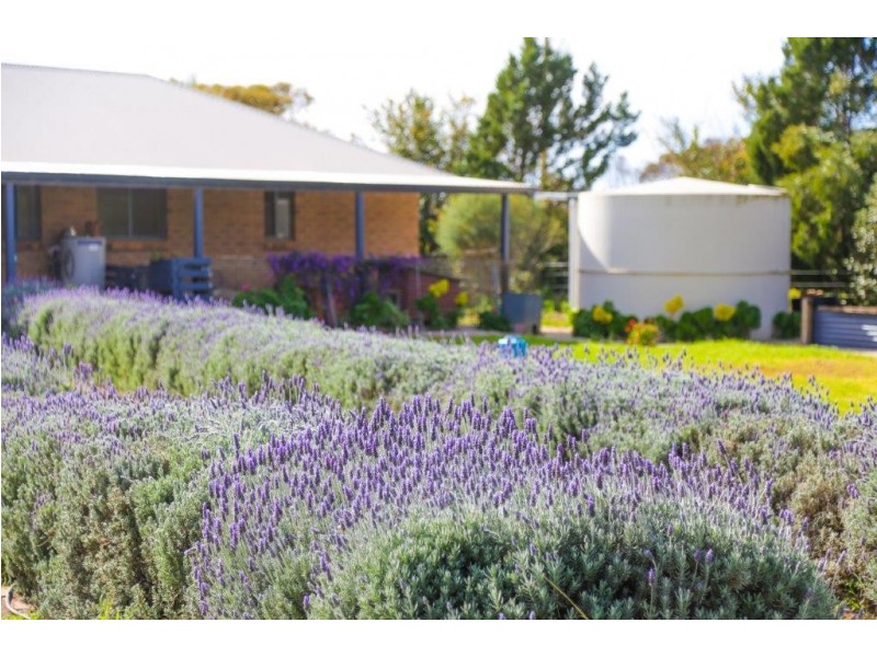 471 Riverside Road, Strathalbyn SA 5255