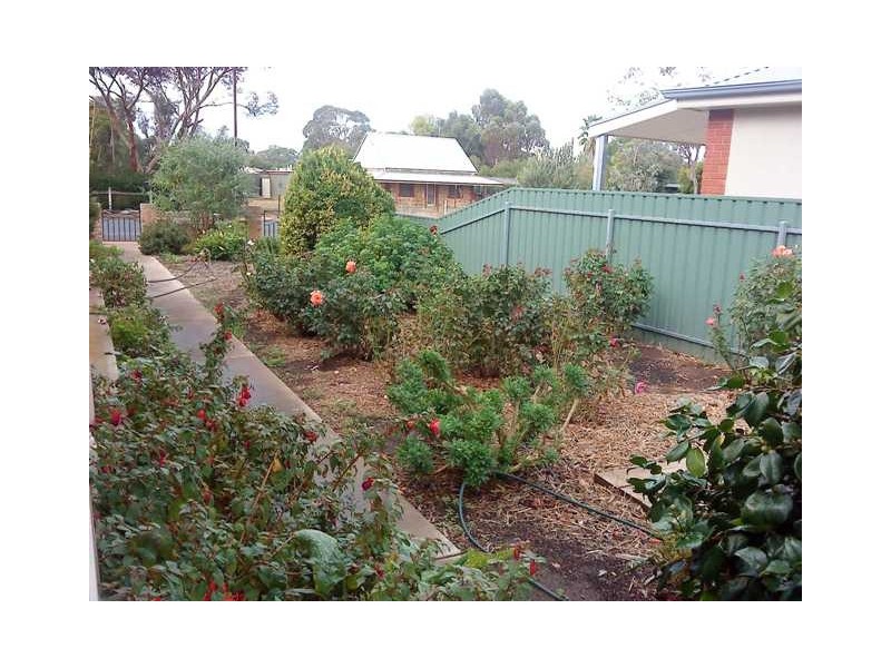 18 Manse Road, Strathalbyn SA 5255