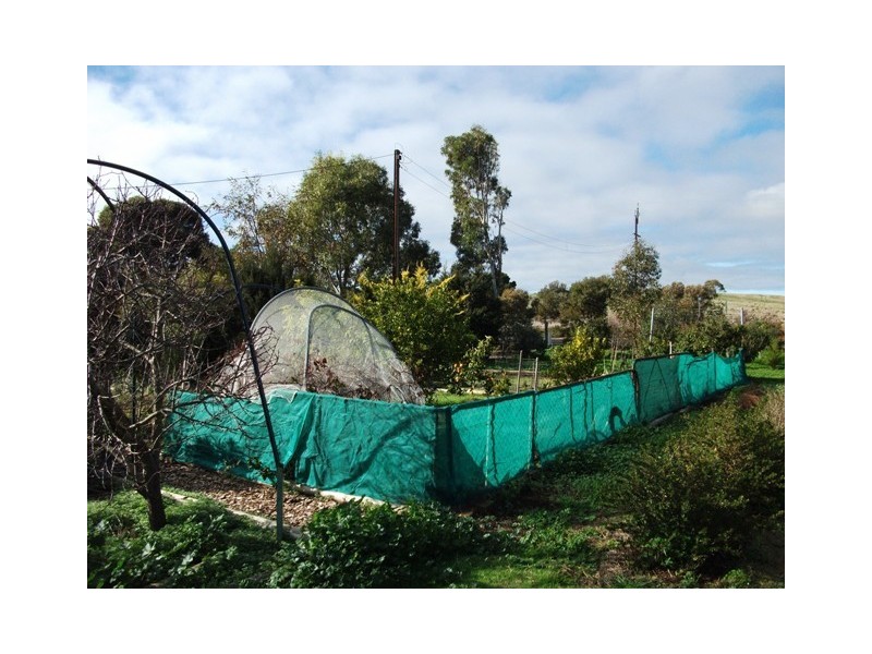 Lot 2 Ashbourne Road, Strathalbyn SA 5255