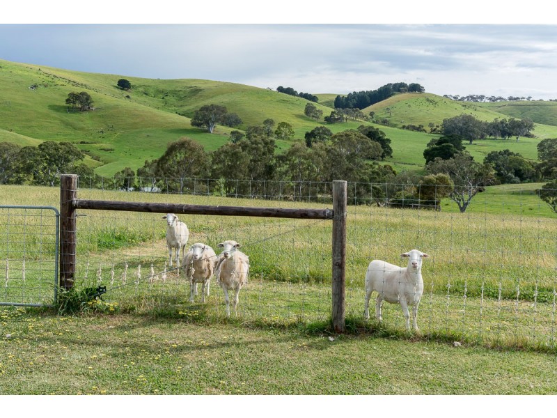 63 Henry Martin Road, Ashbourne SA 5157