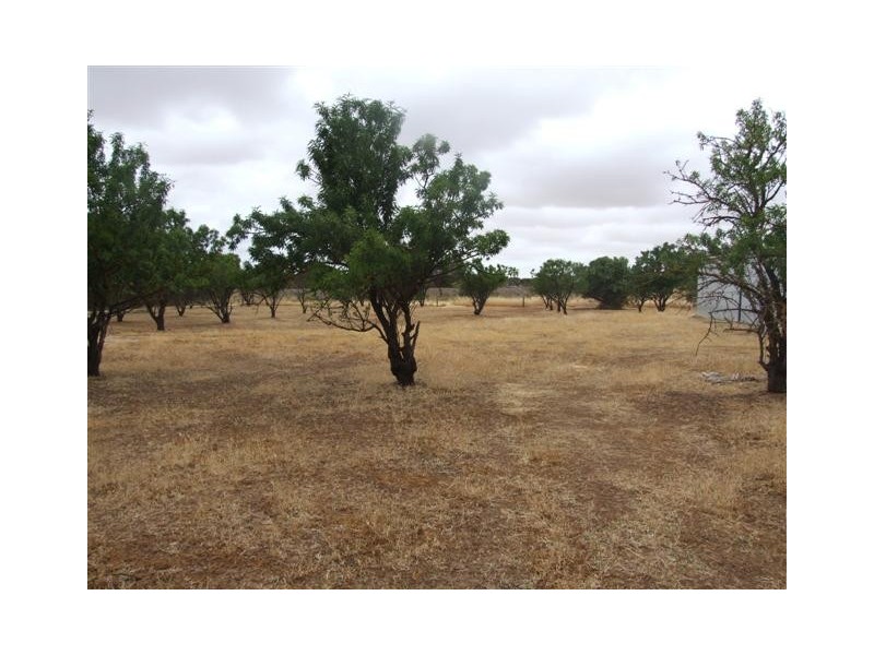 5 Edward Street, Strathalbyn SA 5255