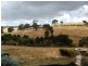 . Wattle Flat Road, Strathalbyn SA 5255