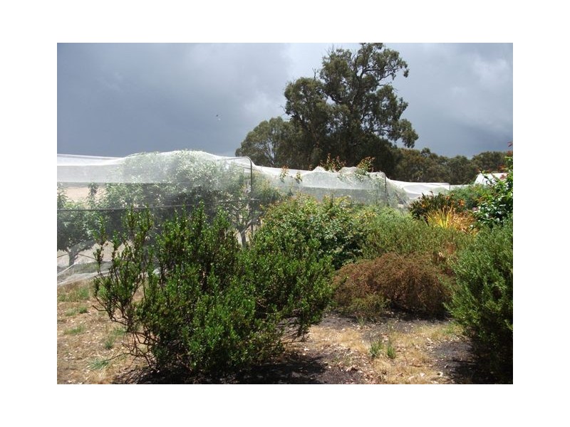 . Wattle Flat Road, Strathalbyn SA 5255