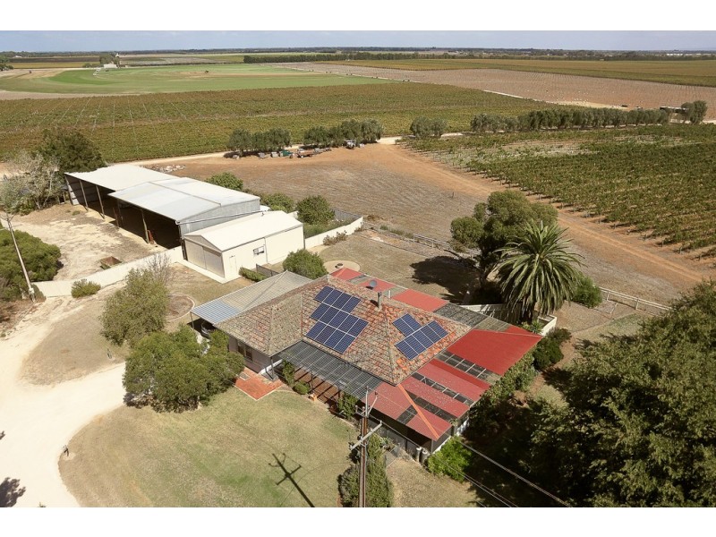 40 Westbourne Street, Langhorne Creek SA 5255