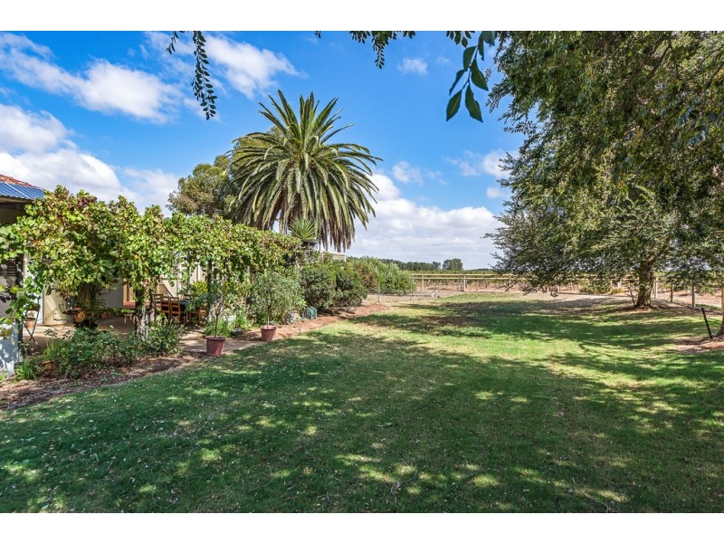 40 Westbourne Street, Langhorne Creek SA 5255