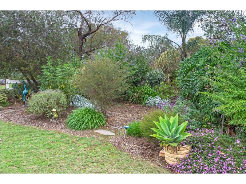 6 Love Avenue, Strathalbyn SA 5255