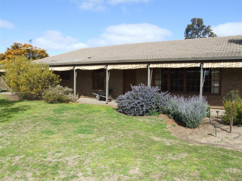 31 Jackson Avenue, Strathalbyn SA 5255