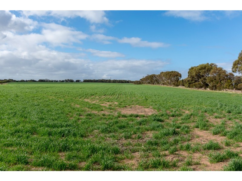 Lot 2 Landseer Road, Milang SA 5256
