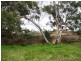 51 St Andrews Drive, Strathalbyn SA 5255