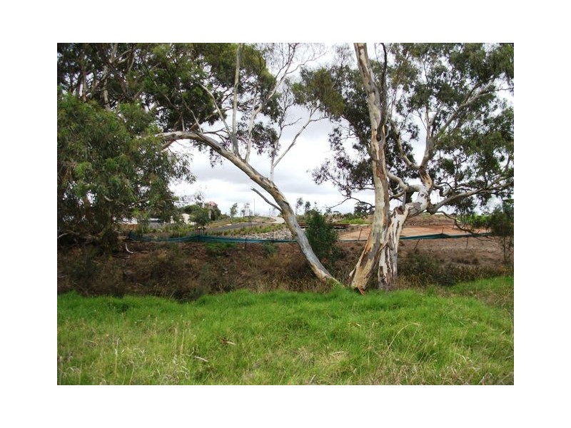 51 St Andrews Drive, Strathalbyn SA 5255