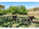 1266 Bull Creek Road, Ashbourne SA 5157