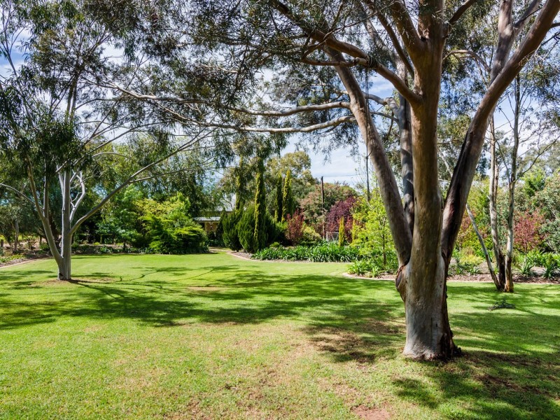 33 Adelaide Road, Strathalbyn SA 5255