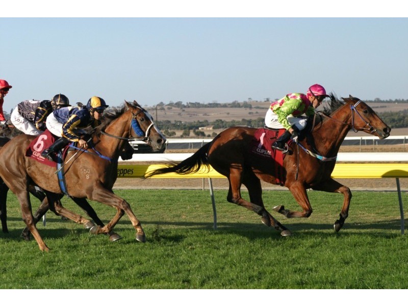 Lot 11 Trainers Way, Strathalbyn SA 5255