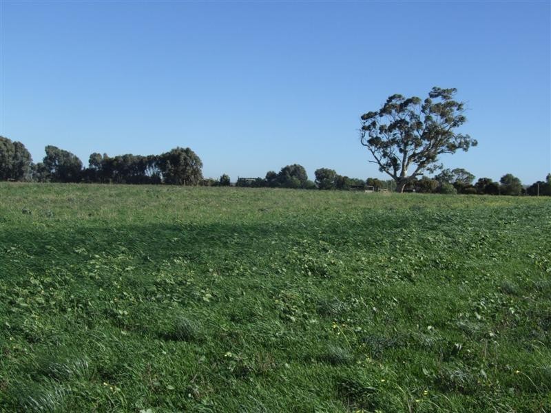 Lot 11 Trainers Way, Strathalbyn SA 5255