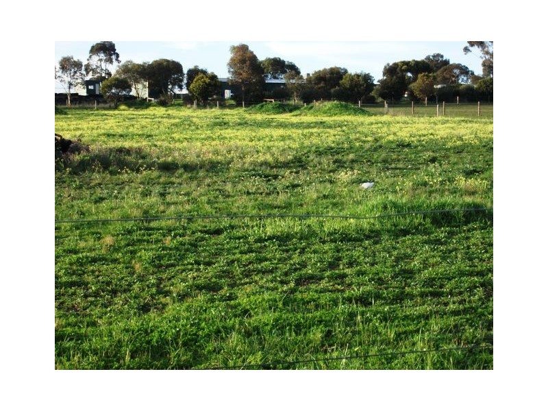 40 Trainers Way, Strathalbyn SA 5255